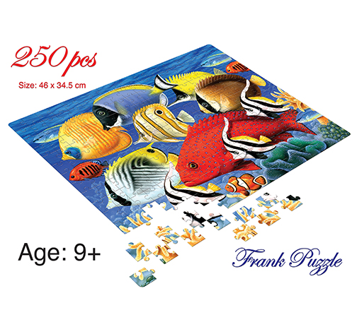 Fish School 250 Pieces